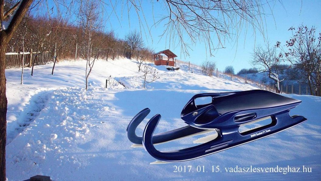 Vadaszles Vendeghaz Bukkszentmarton المظهر الخارجي الصورة